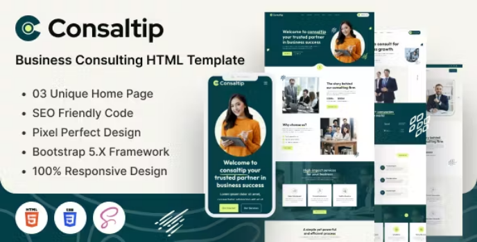 دانلود قالب HTML انگلیسی شرکت consaltip