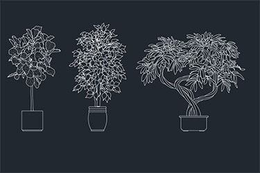 دانلود فایل معماری بلوک‌های CAD درختان داخلی در اتوکد