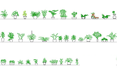 دانلود فایل معماری  بلوک‌های کاد گیاهان با فرمت DWG در اتوکد