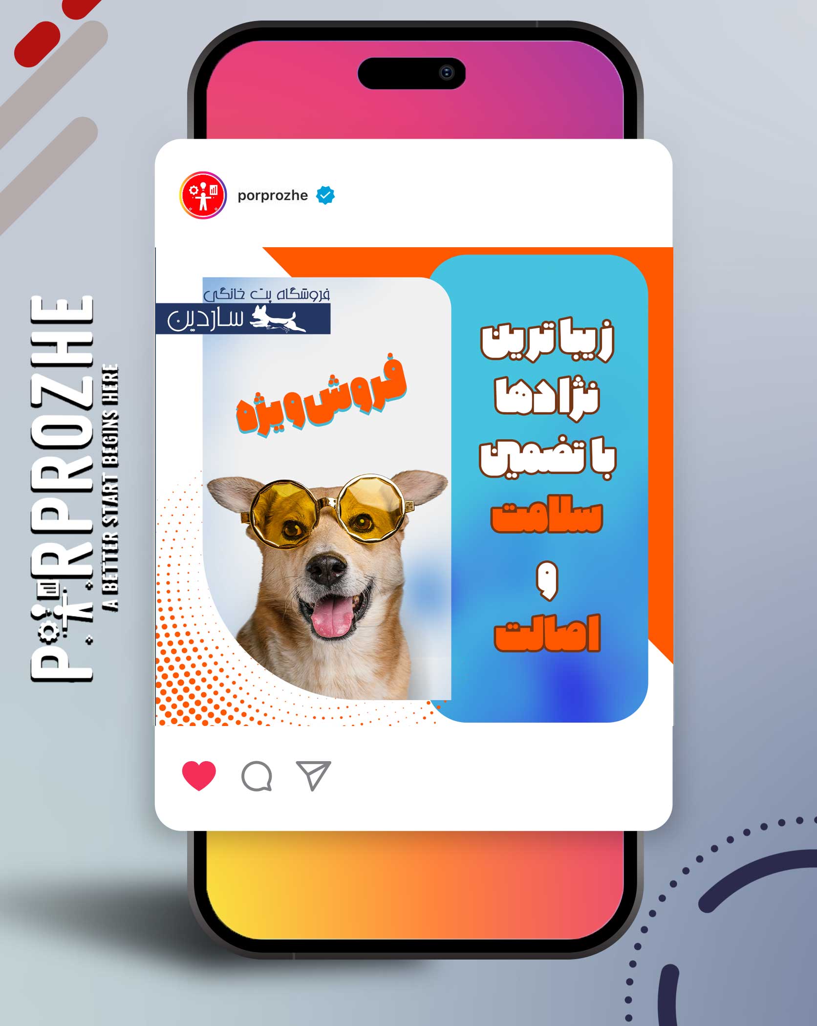 دانلود فایل لایه باز قالب پست اینستاگرام فروشگاه حیوانات خانگی با فتوشاپ طرح شماره 1